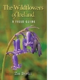 Wildflowers of Ireland