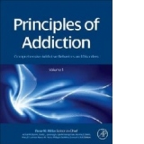 Principles of Addiction