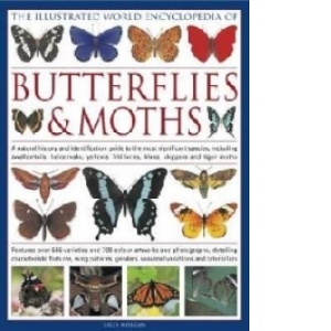 Illustrated World Encyclopaedia of Butterflies and Moths