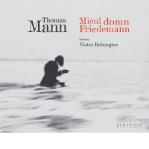 Micul domn Friedemann (Audiobook)