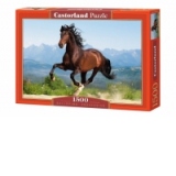 Puzzle 1500 piese Galloping Andalusian 150755