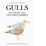Gulls of Europe, Asia and North America