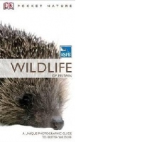 RSPB Pocket Nature Wildlife of Britain