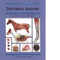 Functional Anatomy