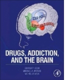 Drugs, Addiction, and the Brain