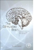 Stimulated Brain