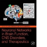 Neuronal Networks in Brain Function, CNS Disorders, and Ther