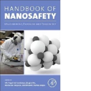 Handbook of Nanosafety