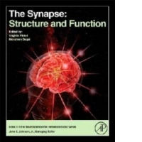 Synapse
