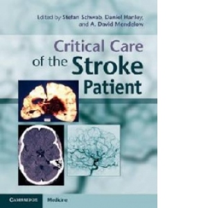 Critical Care of the Stroke Patient