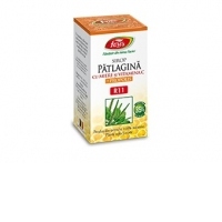 Patlagina miere si propolis R11 sirop