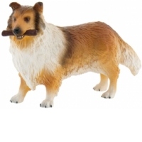 Caine rasa Collie (produs 2015)