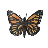 Fluture Monarch
