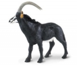 Antilopa neagra