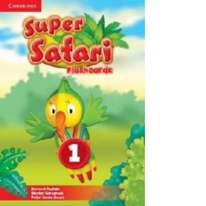Super Safari Level 1 Flashcards (Pack of 40)