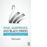 Risk, Surprises and Black Swans