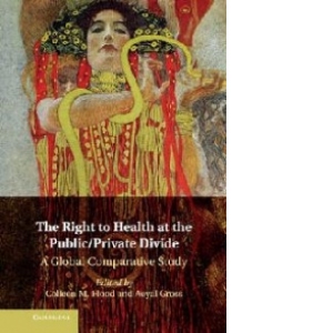 Right to Health at the Public/Private Divide