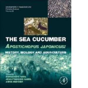 Sea Cucumber Apostichopus Japonicus