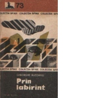 Prin labirint - Roman