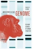 Ancestors in Our Genome
