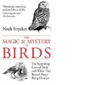 Magic and Mystery of Birds