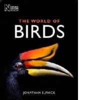 World of Birds