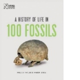 History of Life in 100 Fossils