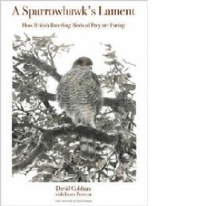Sparrowhawk's Lament