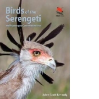 Birds of the Serengeti