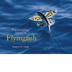 Amazing World of Flyingfish