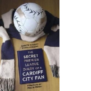 Secret Premier League Diary of a Cardiff City Fan