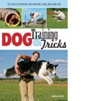 Dog Training & Tricks
