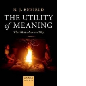 Utility of Meaning