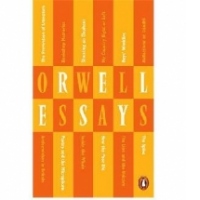 Essays