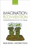 Imagination and Convention
