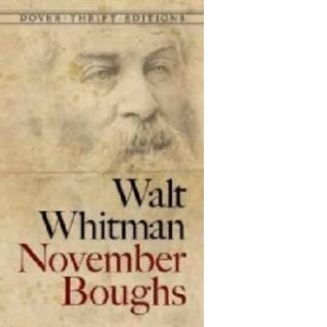 November Boughs