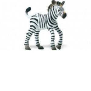 Pui de zebra
