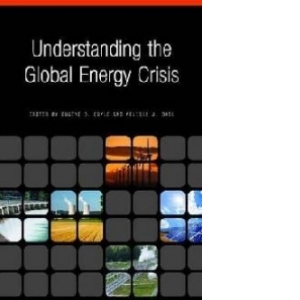 Understanding the Global Energy Crisis