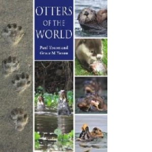 Otters of the World