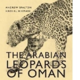 Arabian Leopards of Oman