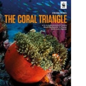 Coral Triangle