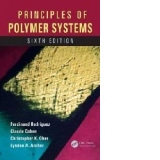 Principles of Polymer Systems