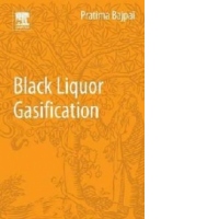 Black Liquor Gasification
