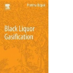 Black Liquor Gasification