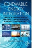 Renewable Energy Integration