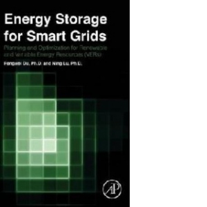 Energy Storage for Smart Grids