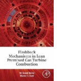 Flashback Mechanisms in Lean Premixed Gas Turbine Combustion