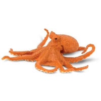 Caracatita