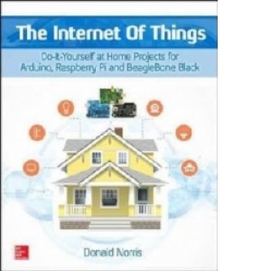 Internet of Things: Do-it-Yourself at Home Projects for Ardu