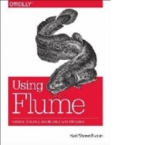 Using Flume